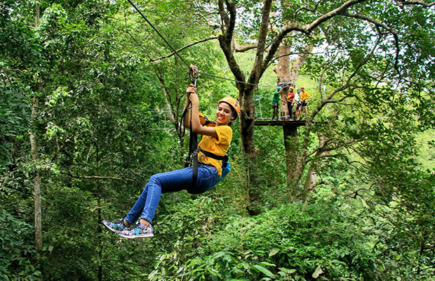 Flight Of The Gibbon in Siem Reap